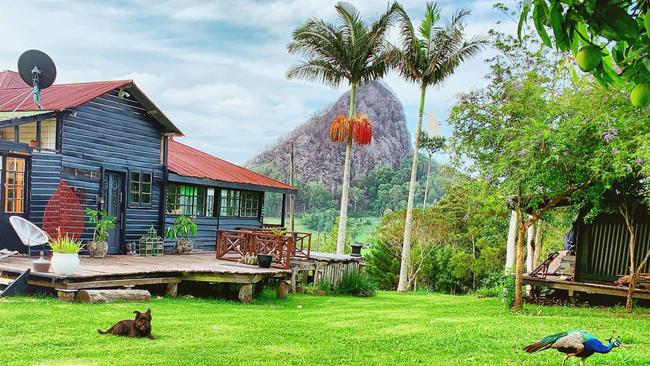 The original loggers' cabin at Nightcap Exchange Photo Airbnb