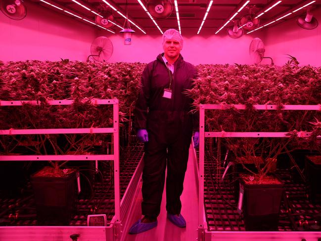 Little Green Pharma chief executive officer Paul Long on a tour of the company's production facility near Busselton, Western Australia. Photo: Charlie Peel