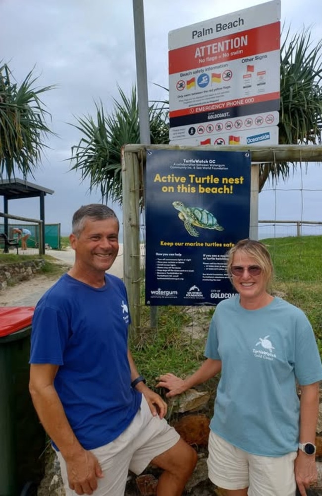 Turtle Watch Gold Coast and Sea World Foundation have come together to help make the hatching process as protected and successful as possible. Photo: Facebook/Rosalinde Green