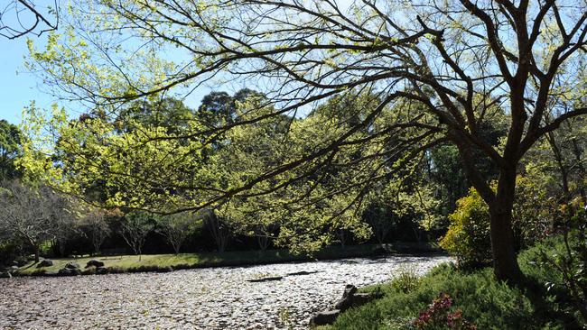 Fagan Park at Galston.