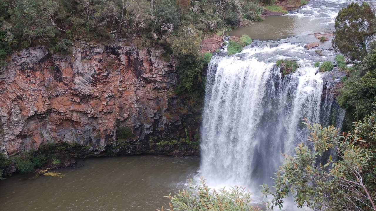 are dogs allowed at dangar falls