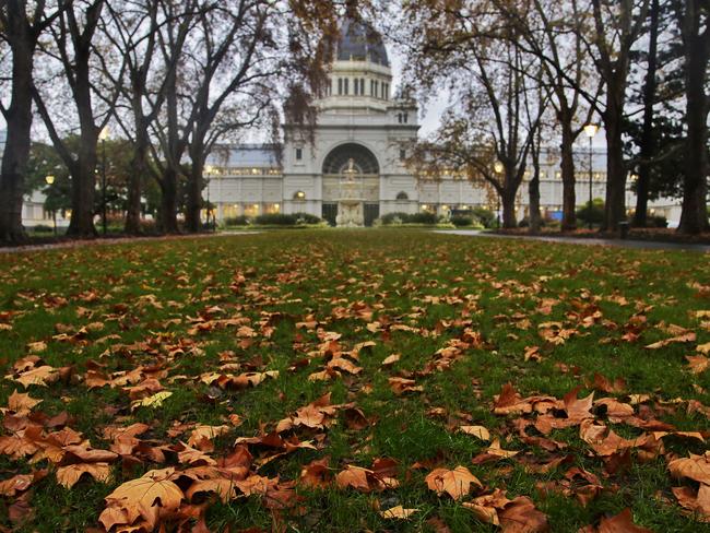 This could possibly be Melbourne CBD’s best autumn view. Picture: Hamish Blair