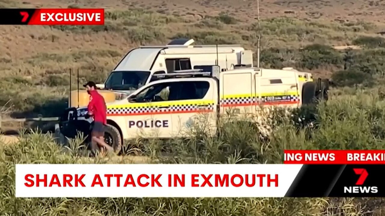 A boy has been taken to hospital after being bitten by a shark. Picture: 7 News