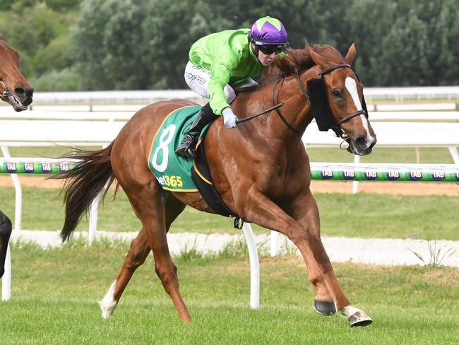 New York Hurricane ridden by Harry Coffey wins the bet365 Kyneton Cup at Kyneton Racecourse on November 06, 2024 in Kyneton, Australia. (Photo by Brett Holburt/Racing Photos via Getty Images)