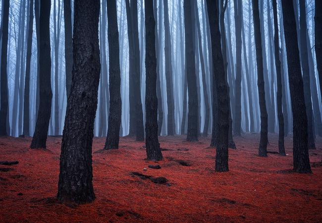 “Broken Dreams” by Adelaide photographer Ben Goode won the People's Choice award in the South Australian Museum’s Australian Geographic Nature Photographer of the Year exhibition for 2018. It was also runner up in the Landscape category. Picture: Ben Goode