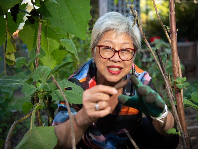 Tiang Lim getting her hands dirty. Picture: Monique Harmer