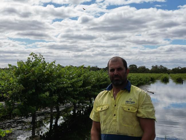 Joe Callipari’s family farm has been destroyed by flooding. Picture: Supplied