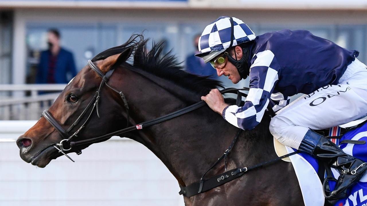 Russian Camelot (IRE) ridden by Damien Oliver wins the Hyland Race Colours Underwood Stakes  at Caulfield Racecourse on September 26, 2020 in Caulfield, Australia. (Reg Ryan/Racing Photos via Getty Images)