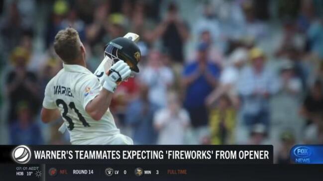 Warner's teammates expecting 'fireworks' from opener