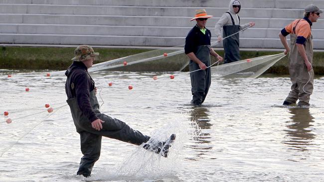 Drag net fishing, Catching of fish using drag net