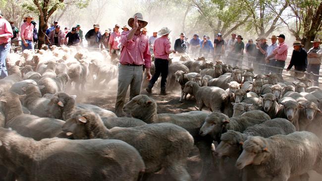 Auctioneer Jason Andrews, Elders, selling in the dust at Deniliquin last week.