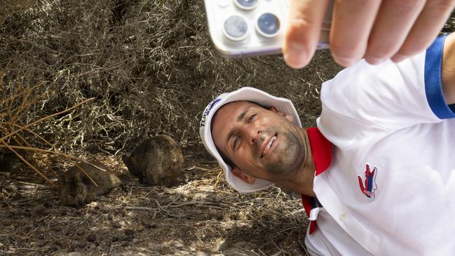 Novak Djokovic is seen having a photo with a quokka on Rottnest Island before the 2024 United Cup in Perth, on Friday. Picture: NCA NewsWire / TA Pool / Matt Jelonek