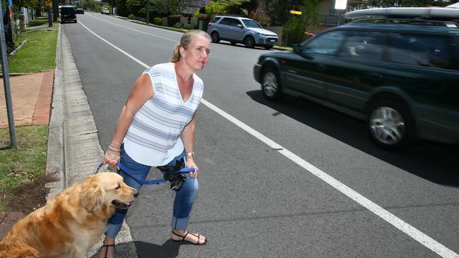 Resident Antoinette Lawless attempts to cross busy Scenic Highway with her dog Herbie, near the black spot corner of Barnhill Rd in Terrigal. Picture: Peter Clark