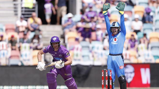 Harry Nielsen appeals for a wicket against the Hurricanes.