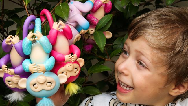 Arnold put some Fingerlings to the test ahead of the Toy Fair which starts this Sunday. Picture- Nicole Cleary