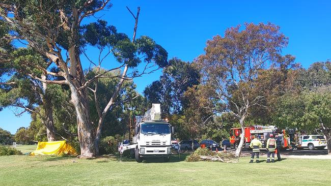 A young woman has been killed in a freak accident at the Adelaide Uni soccer fields when a tree fell and killed her. Picture: Dasha Havrilenko