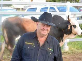 THE KING: Brian King with his bulls at the Mundubbera Show last year. Picture: Philippe Coquerand