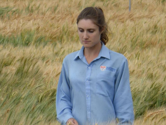 Dr Angela Pattison from the Plant Breeding Institute at the University of Sydney’s Narrabri campus. Picture: Supplied