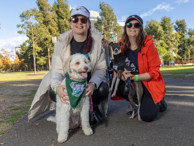 RSPCA SA's Million Paws Walk in Adelaide on May 25, 2025. Picture: Ben Clark