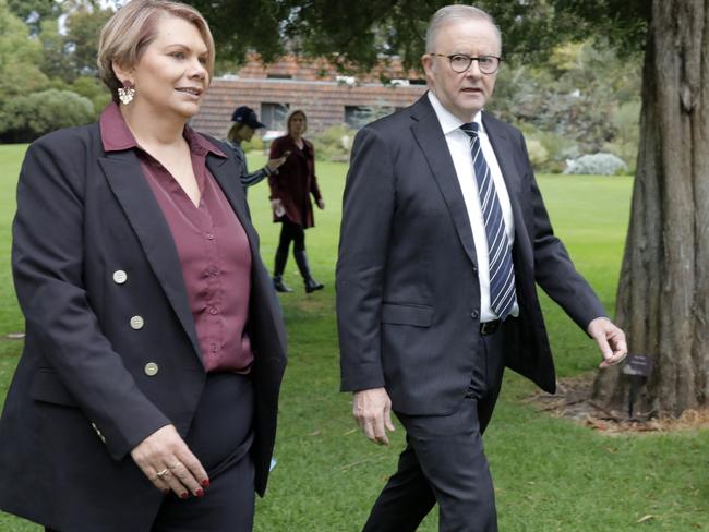 Mr Albanese insists Ms Cox has a lot to offer. Picture: Philip Gostelow