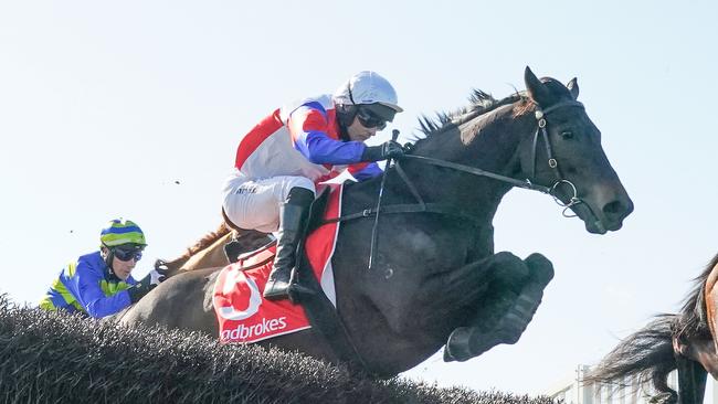 Social Element and Tom Ryan race away with the Crisp Steeplechase at Sandown Lakeside. Picture: Scott Barbour – Racing Photos via Getty Images