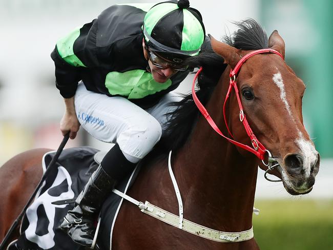 SYDNEY, AUSTRALIA - MAY 23:  Sam Clipperton riding Stockman wins Race 3ÃÂ Sporting Chance Cancer Foundation Handicap during Sydney Racing at Royal Randwick Racecourse on May 23, 2020 in Sydney, Australia. (Photo by Mark Metcalfe/Getty Images)