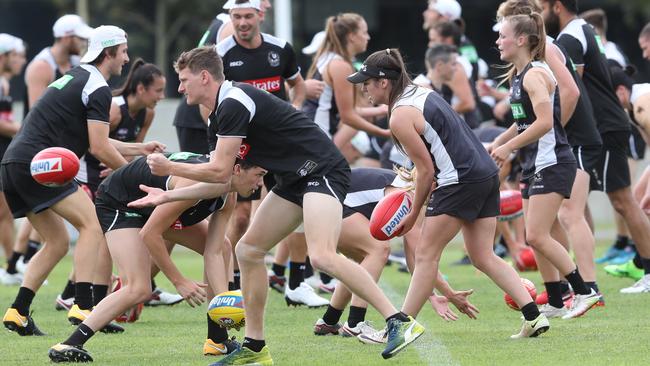 Collingwood’s men’s and women’s teams trained together today. Picture: David Crosling