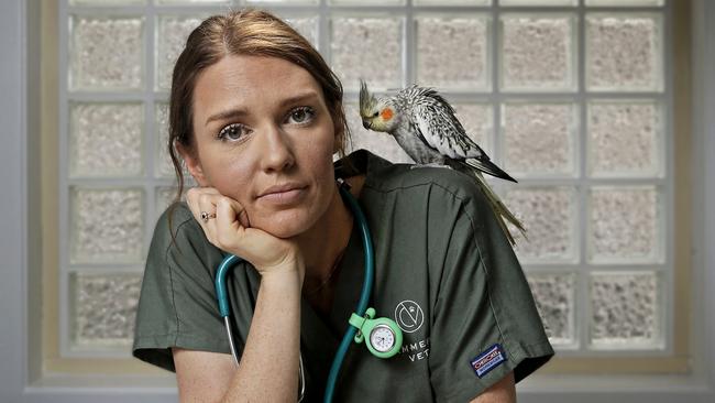 Dr Jennifer Millar with Tweet the Cockatiel at Cammeray vet. Picture: John Appleyard