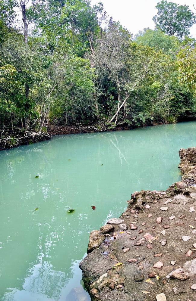 Cardwell Spa Pool is not far from the town's famous crab sanga spot. There are roos you can spot along the way. Picture: Rae Wilson