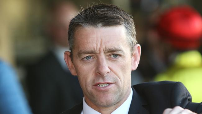 Hawkesbury trainer Stephen O'Halloran prepares Nymphadora. Picture: Grant Guy