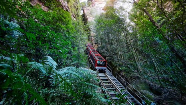 Blue Mountain Day Tour. Image: Experience Oz