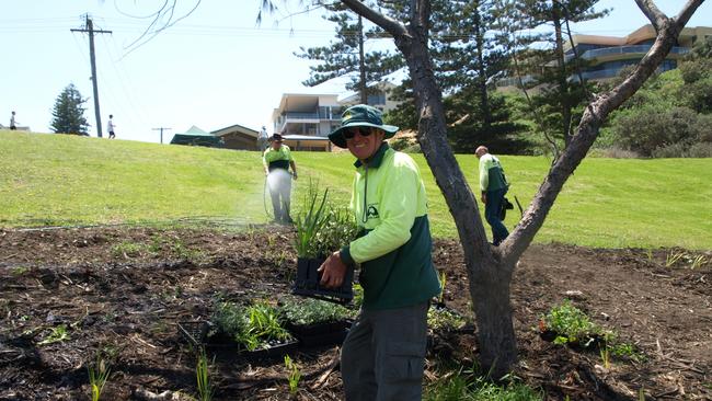 Brian Hilton from Lake Macquarie Landcare Group. Supplied.