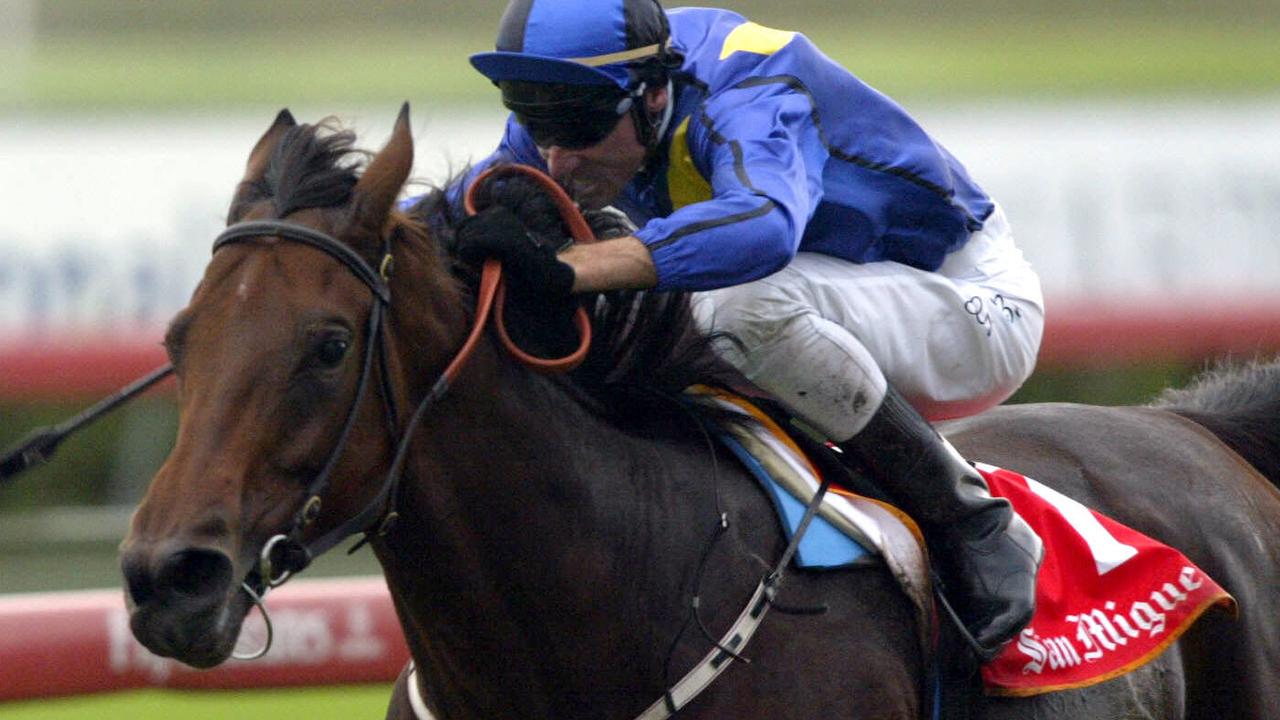 Trainer John O’Shea regaining momentum after post-Godolphin lull ...