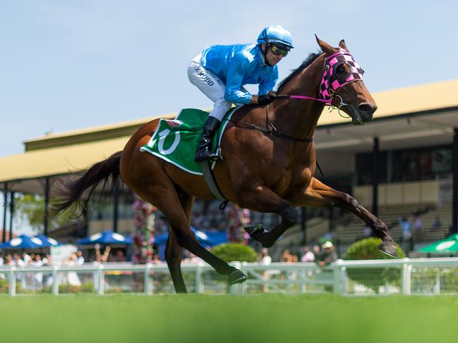 Michael Rodd rides Ziemba to victory at Eagle Farm last month.