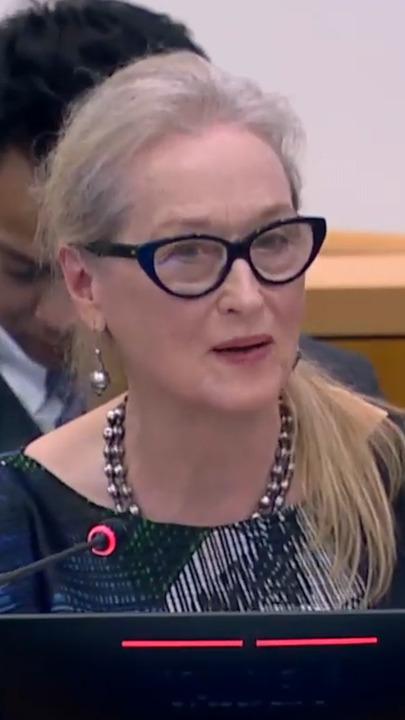 Meryl Streep tells UN women have less freedom than cats