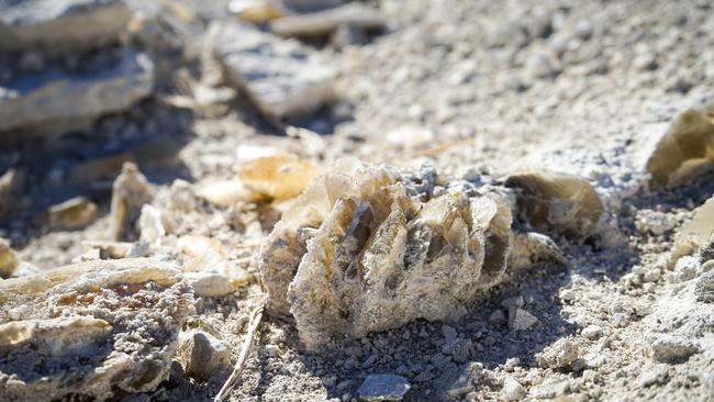 Gypsum at a Netherby family-owned mine. Picture: Rachel Simmonds