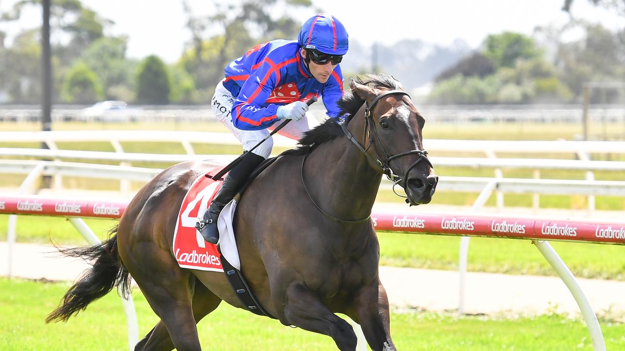 Lunar Module and jockey Jamie Mott will combine again at Thursday's Sale races. Picture: Racing Photos via Getty Images