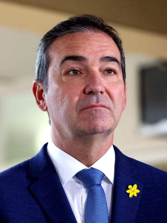 South Australian premier Steven Marshall. Picture: NCA NewsWire/Kelly Barnes