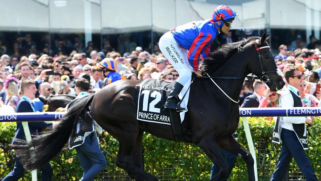 Prince of Arran enters the track proper before last year’s Melbourne Cup.