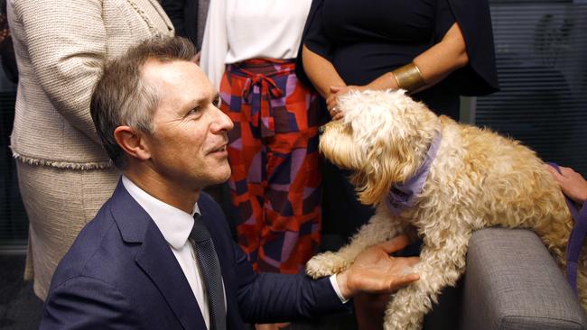 Federal Education Minister Jason Clare meets the school therapy dog Banjo during a visit to Kelvin Grove State College in Brisbane. Picture: NewsWire/Tertius Pickard