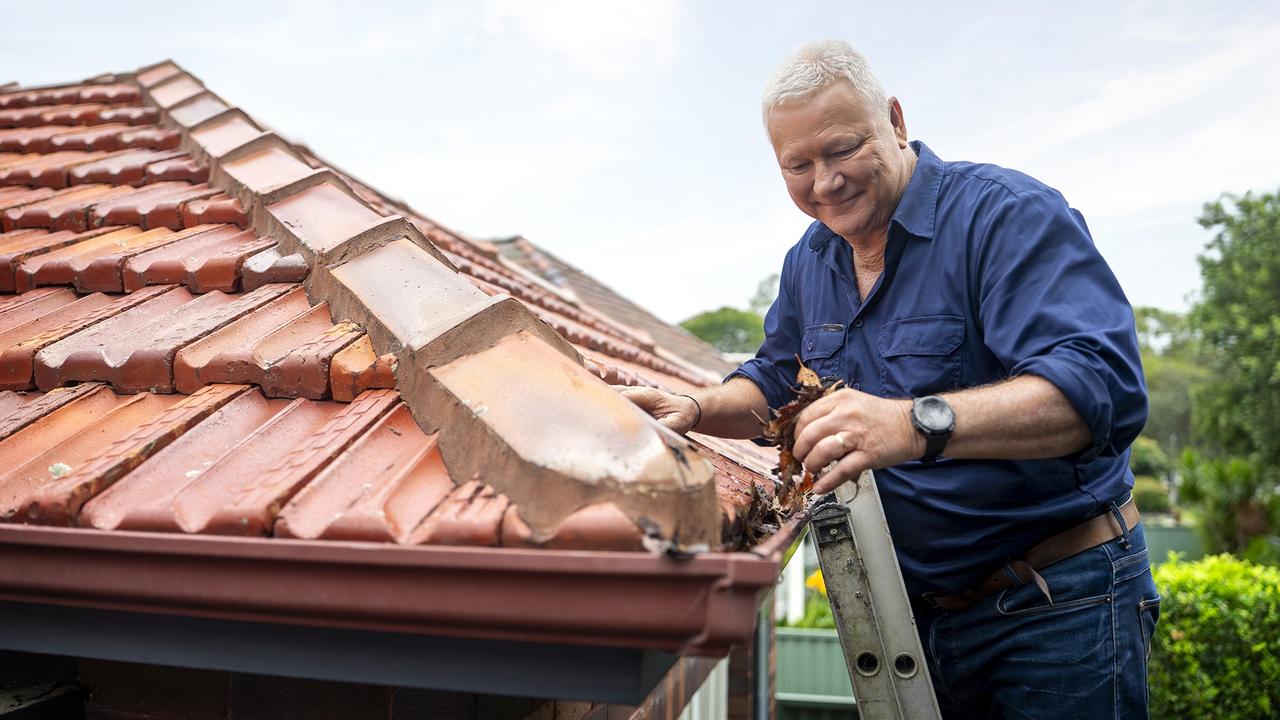 Carpenter turned TV host Scott Cam.