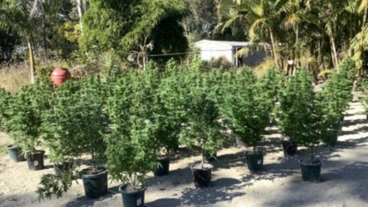 An image from a massive $1 million drug bust at Yatala. Picture: QLD Police.