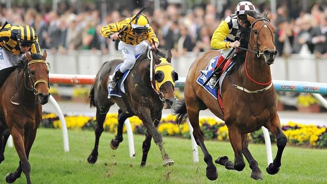 The Bart and James Cummings-trained Precedence has been well supported in the Queen Elizabeth Stakes at Flemington.