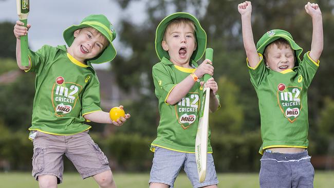 Cohen and Xaiver Wallace, 5 and Atticus Dowling, 6 at the Holy Trinity Cricket Club in Thornbury Picture: Sarah Matray