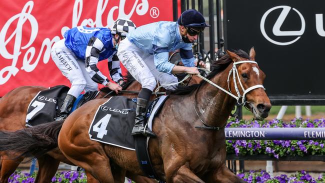 Great House sealed his spot in the Melbourne Cup after winning the Hotham Handicap at Flemington. Picture: Racing Photos via Getty Images