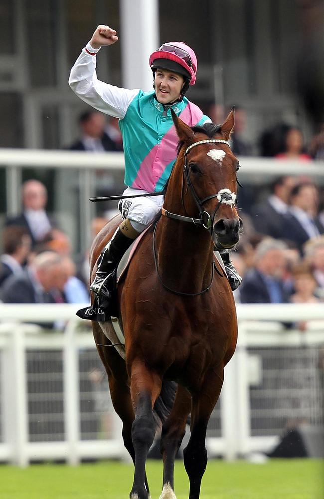 Frankel was undefeated in 14 runs throughout his career