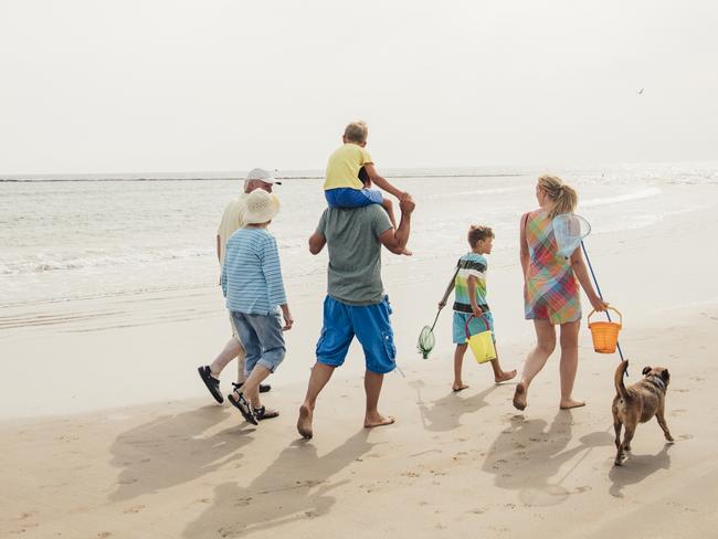 SUNDAY ESCAPE. MULTIGENERATIONAL HOLIDAY. Rear view of a family walking along the beach with their dog while on holiday. Picture: iStock