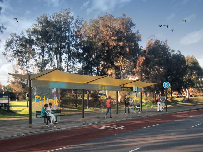 An artists impression of the proposed B-Line stop at Mona Vale's village park.