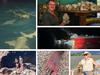 Crocs and critters: Craziest NT animal encounters of 2023