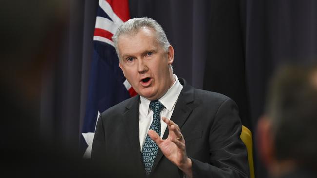 Employment and Workplace Relations Minister Tony Burke in Canberra on Wednesday. Picture: NewsWire / Martin Ollman